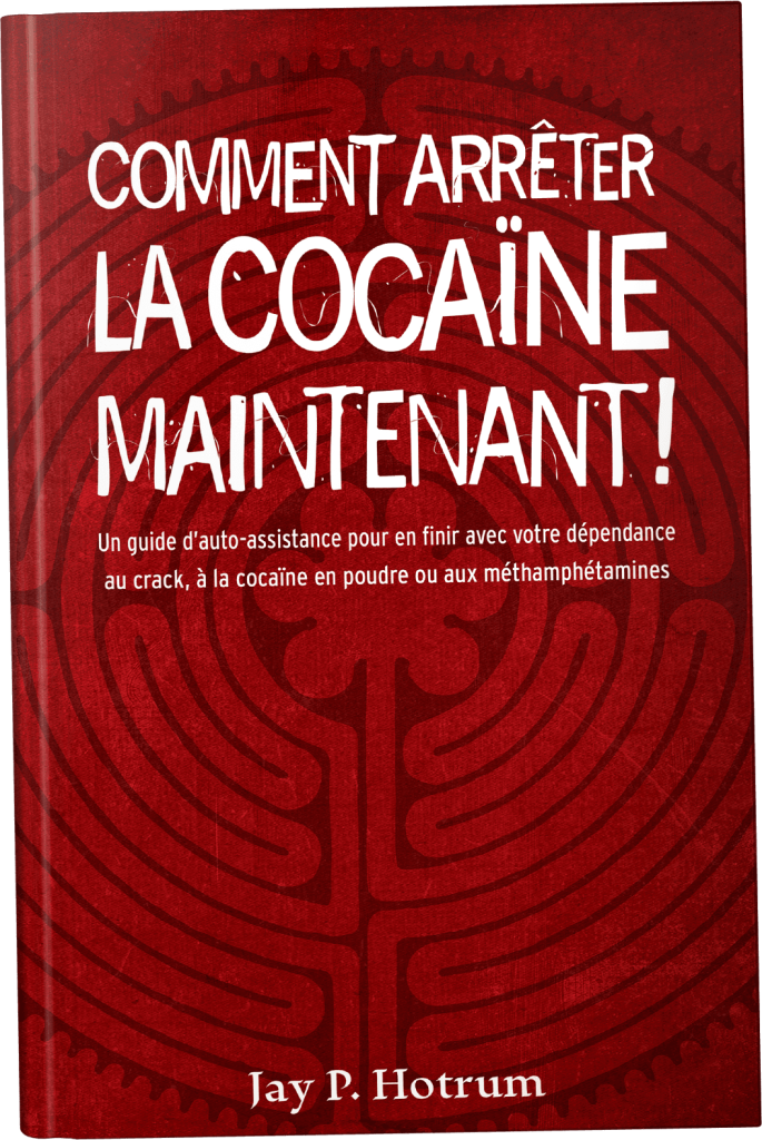 FRENCH eBOOK COVER HOW TO